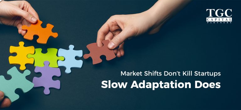 How Nordic Scale-Ups Survive Market Shifts – Slow Adaptation Is the Real Threat
