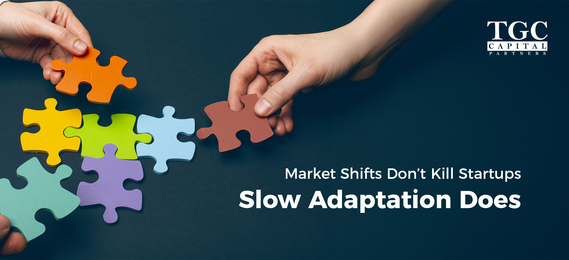 How Nordic Scale-Ups Survive Market Shifts – Slow Adaptation Is the Real Threat